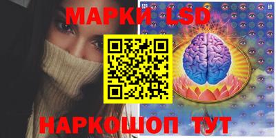 a pvp Кингисепп