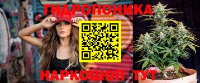 спиды Кимры