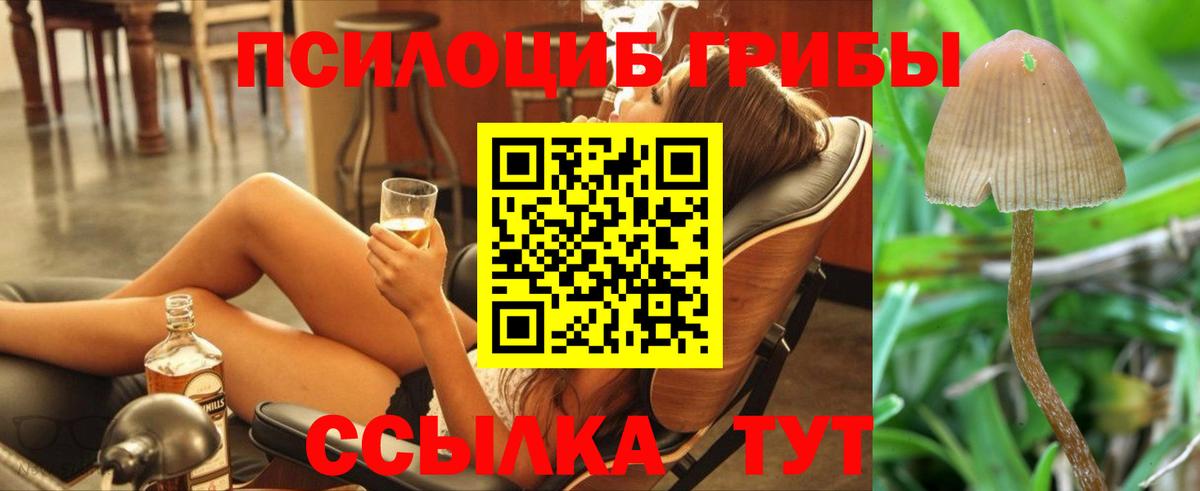 Конаково  Псилоцибиновые грибы Psilocybine cubensis  Вход с VPN  Галлюциногенные грибы прущие грибы 